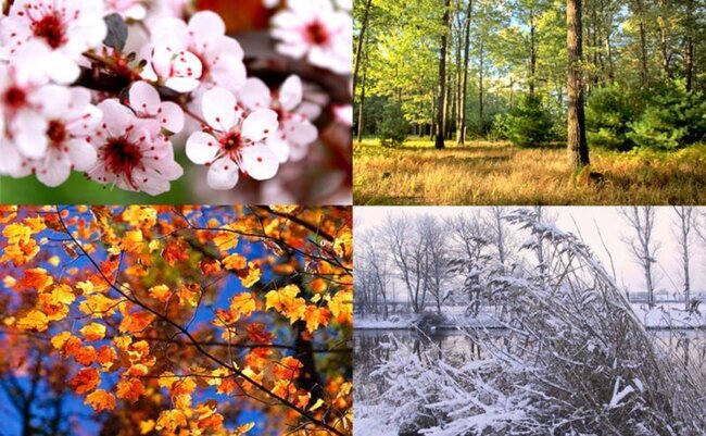 2024-cü ildə fəsillərin Azərbaycana daxilolma vaxtları açıqlandı