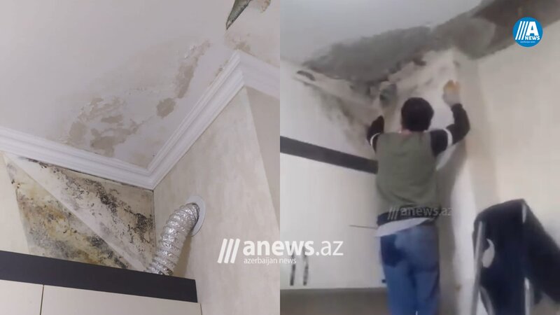 "Kristal Abşeron" 5 ildir şikayətlərimə baxmır - ŞİKAYƏT