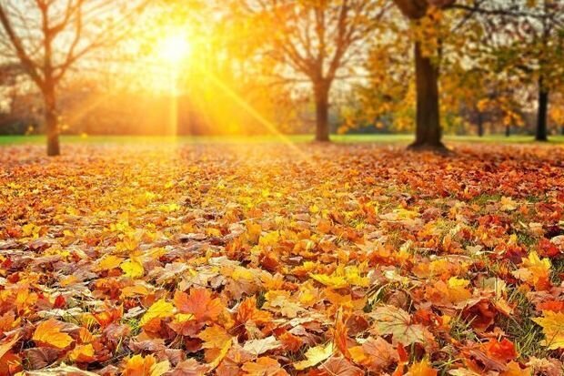 Bayram və istirahət günlərində bölgələrdə hava necə olacaq?