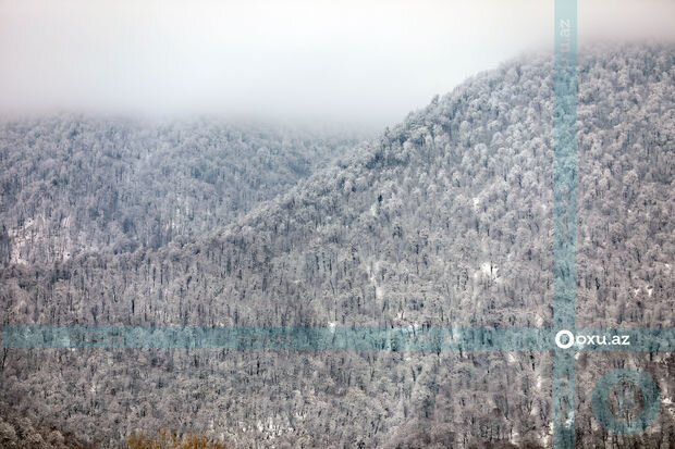 Külək güclənəcək, bəzi ərazilərə leysan, qar, dolu yağacaq - HAVA PROQNOZU