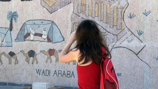 Dünyanın ən böyük mozaykalı təsviri - FOTO