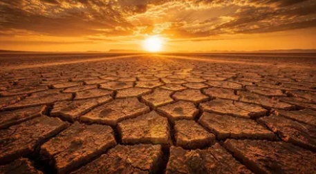 Yerdə temperatur 65°C-yə çatacaq: Son bitkilər nə vaxt yox olacaq?