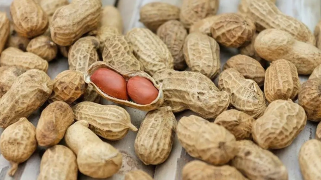 KOBİA yerfındığı ilə bağlı daxili bazar araşdırması aparacaq