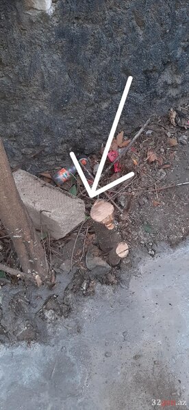 Qazaxda abidənin qarşısında "yaşıl terror" - FOTO