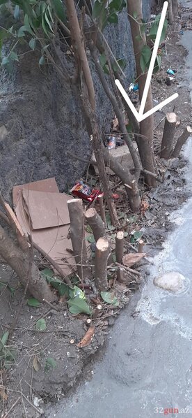 Qazaxda abidənin qarşısında "yaşıl terror" - FOTO