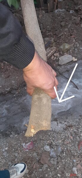 Qazaxda abidənin qarşısında "yaşıl terror" - FOTO