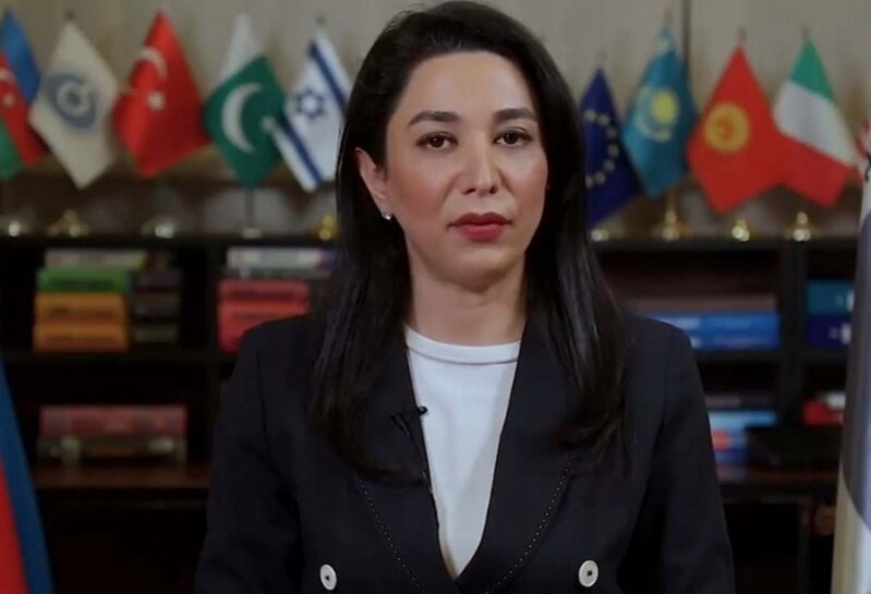 "Ermənistan hələ də mina xəritə-sxemləri barədə dəqiq məlumatları vermək istəmir" - Səbinə Əliyeva