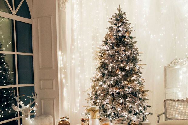 Mütəxəssislər hansı yeni il bəzəyinin "Wi-Fi"a mane olduğunu açıqlayıblar