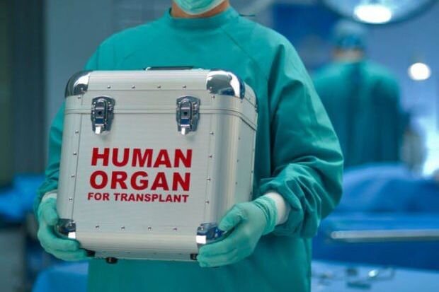 Daxili orqanlarını satışa çıxaranlar var: Onları hansı CƏZA gözləyir?