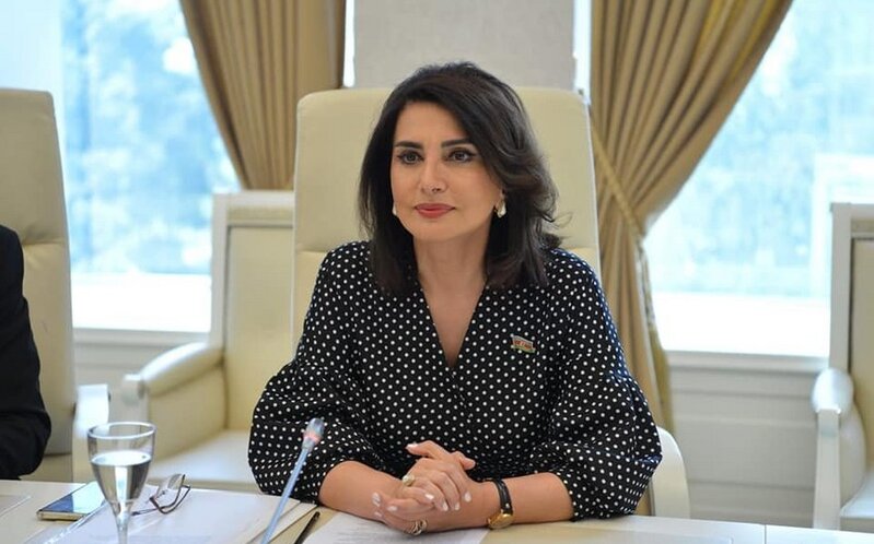 Deputat qanunvericiliyə dayələrlə bağlı cəza mexanizminin salınmasını təklif edib