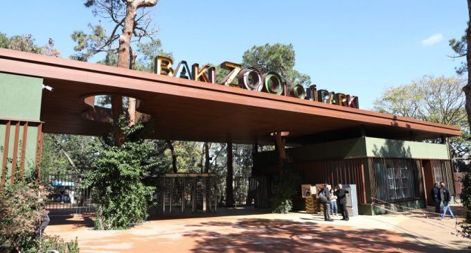 Bakı Şəhər Heyvanat Parkının 1.2 milyonluq tenderi - Qalib təşkilat kimindir?