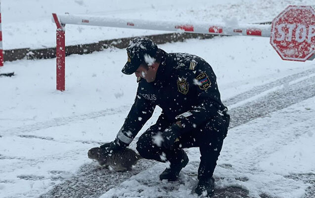 Xankəndi hazırda - Video