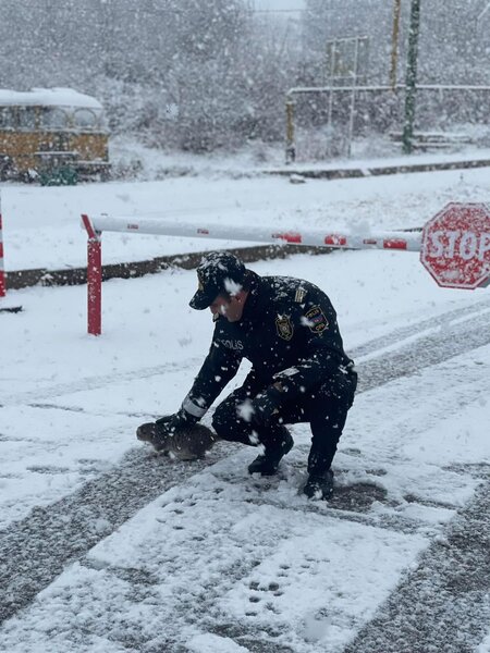 Xankəndi hazırda - Video