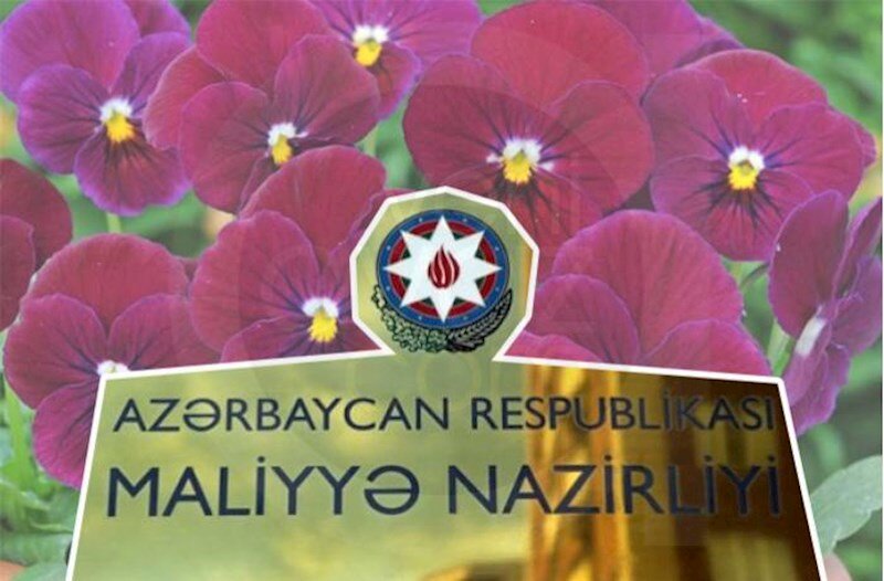 Baba Rzayevin qohumları Maliyyə Nazirliyinə olmayan gül növü satır?