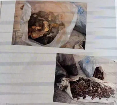 Səlcuq sultanları necə ölüb? - Hər birinin ölüm səbəbi bilindi - FOTO