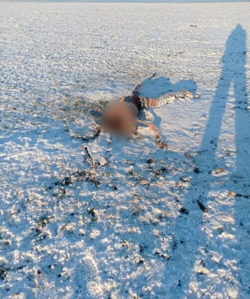 Sumqayıt sakinini 8 canavar parçaladı - ÜRƏKSIZLADAN görüntülər-FOTO