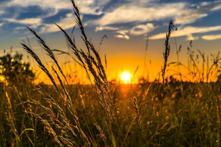 Sabah 22 dərəcə isti olacaq