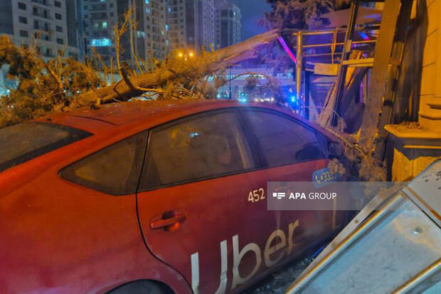 Bakıda "Prius" ağacı kökündən qoparıb - FOTO