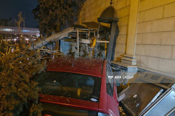 Bakıda "Prius" ağacı kökündən qoparıb - FOTO