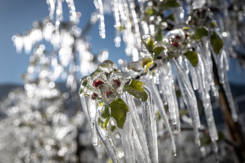 Bu gecə Bakıda şaxta olub - FAKTİKİ HAVA