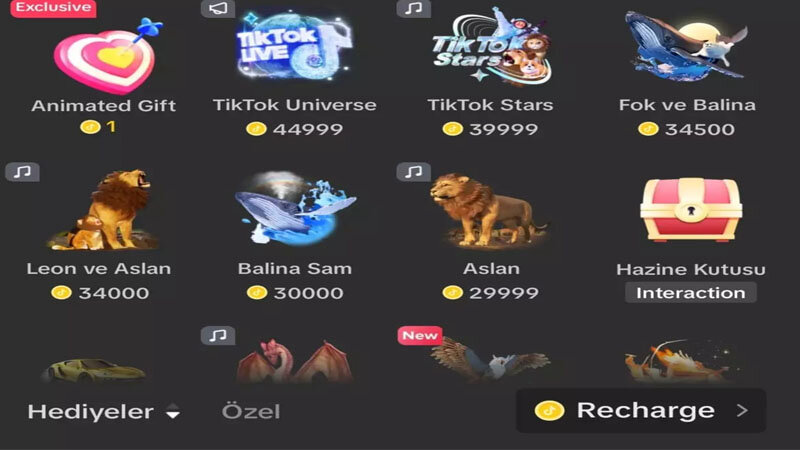 "TikTok"da pulu necə qazanırlar? - Hədiyyələrin məbləği (SİYAHI)