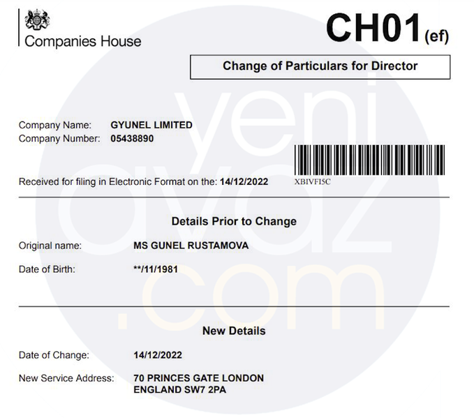 Elman Rüstəmovun qızının Londondakı şirkəti 13,3 milyon zərər edib – Fotofakt