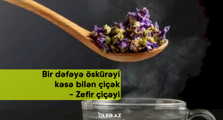 Bir dəfəyə öskürəyi kəsə bilən çiçək