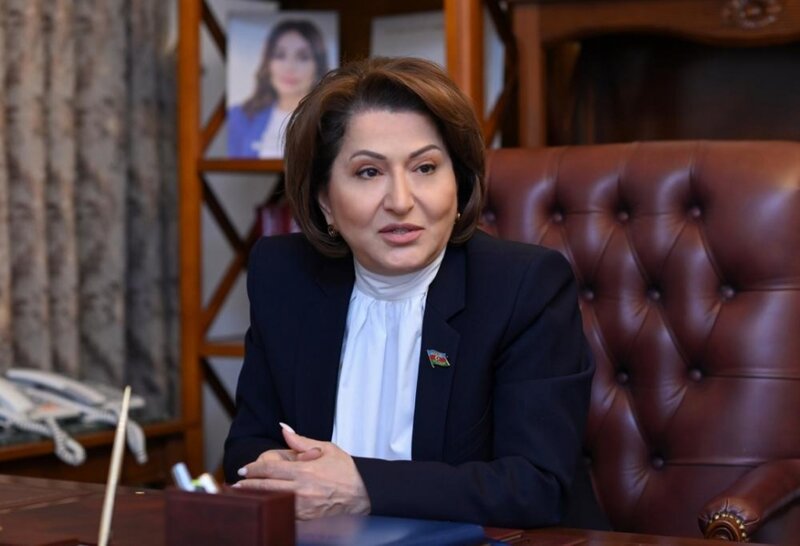 "Avropa Parlamenti Cənubi Qafqazda baş verən proseslərə ikiüzlü və qərəzli mövqe nümayiş etdirir" - DEPUTAT