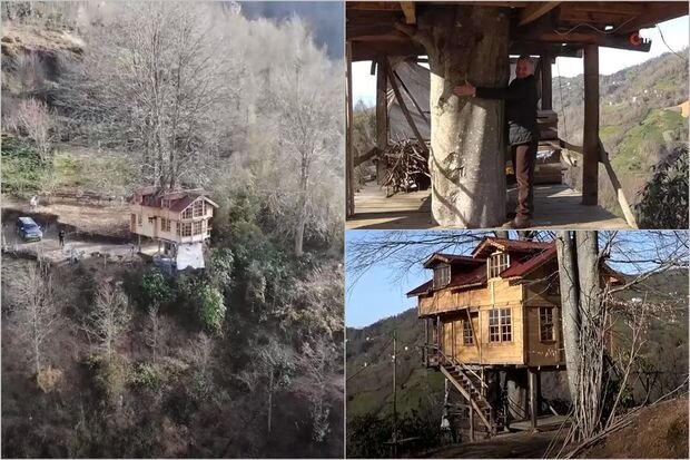 Təqaüdçü ağacın gövdəsində tikdiyi ikimərtəbəli evlə mühəndisləri heyrətə gətirdi - FOTO/VİDEO
