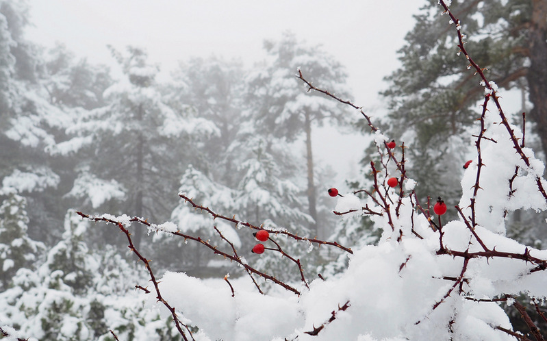 Bəzi bölgələrdə yağış, dağlıq rayonlarda qar yağıb - FAKTİKİ HAVA