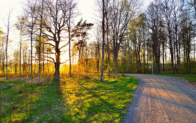 Sabah 20° isti olacaq