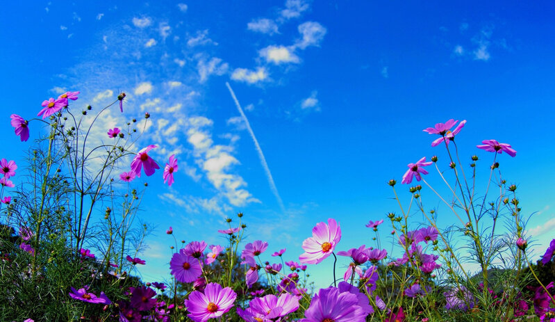 Sabah Bakıda 18, rayonlarda 21 dərəcə isti olacaq