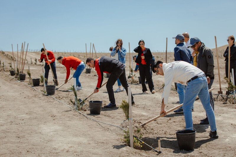 "McDonald's Azərbaycan" internat məktəblərinin şagirdləri ilə birlikdə ağacəkmə aksiyası keçirib – FOTO