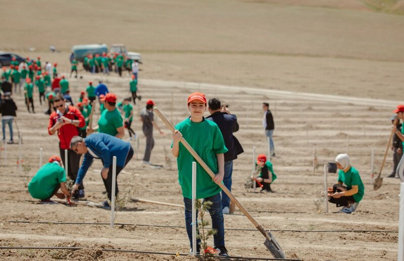 "McDonald's Azərbaycan" internat məktəblərinin şagirdləri ilə birlikdə ağacəkmə aksiyası keçirib – FOTO
