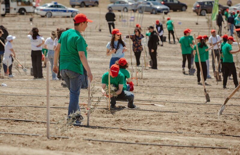 "McDonald's Azərbaycan" internat məktəblərinin şagirdləri ilə birlikdə ağacəkmə aksiyası keçirib – FOTO
