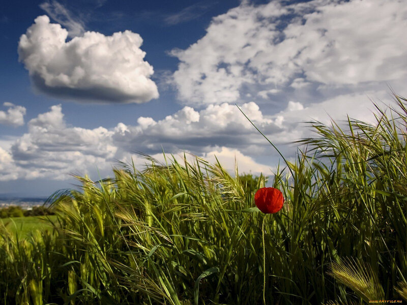 Sabah hava necə olacaq?