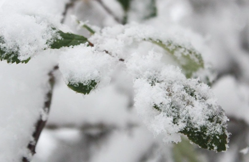 May ayında qarın yağması nəyin XƏBƏRÇİSİDİR?