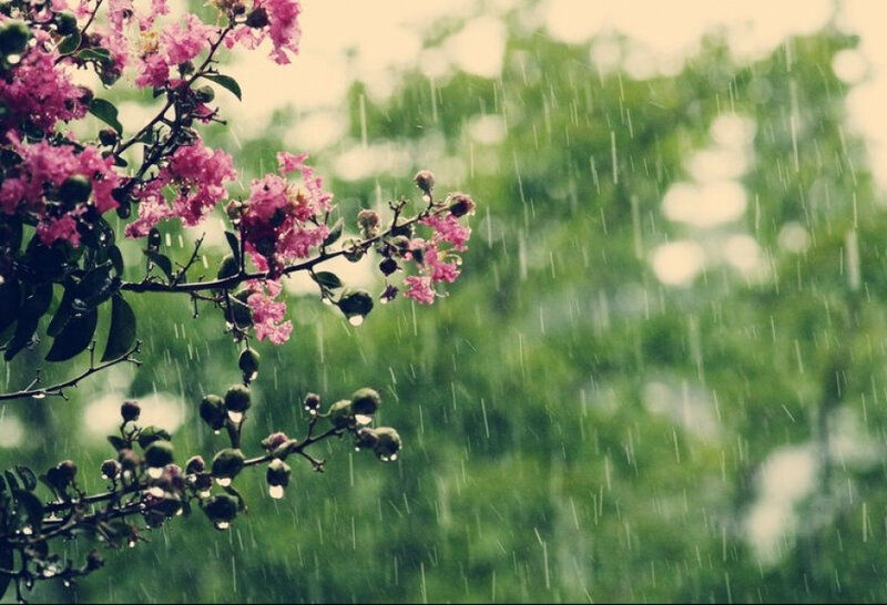Mayın son bazar günündə də yağış yağacaq - Hava proqnozu