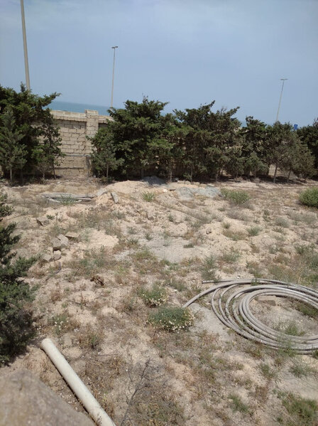 Bilgəhdə 5.3 hektar torpağın 28 sahibi ayağa qalxdı – Hacı Qalibə qarşı şok ittihamlar – FOTOLAR