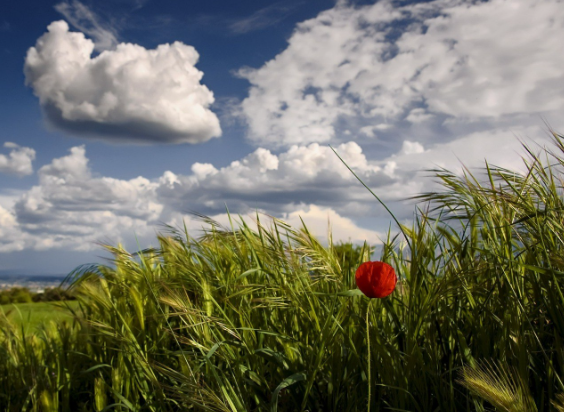 Sabah hava necə olacaq?