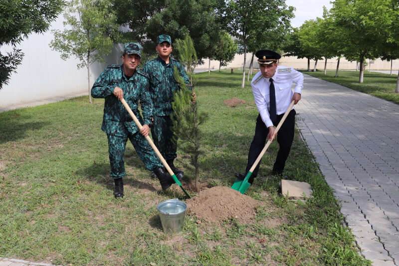 Hərbi Prokurorluq və Dövlət Sərhəd Xidməti Şəmkirdə birgə tədbir keçiriblər