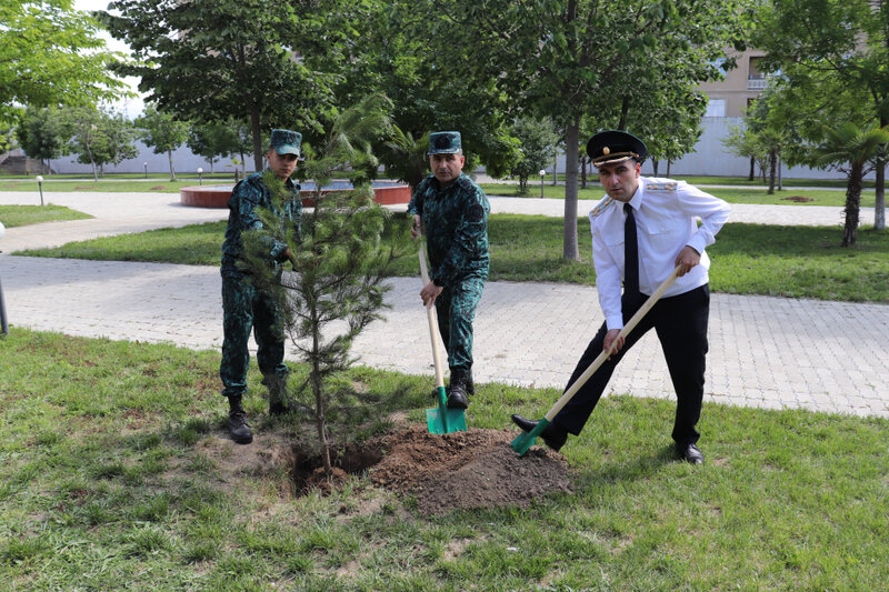 Hərbi Prokurorluq və Dövlət Sərhəd Xidməti Şəmkirdə birgə tədbir keçiriblər