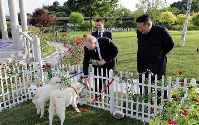 Kim Çen In Putinə 2 ov iti hədiyyə edib - Fotolar