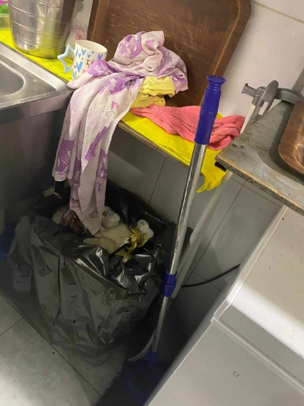 Bakıda mətbəxində siçovul gəzən restoranın fəaliyyəti dayandırıldı