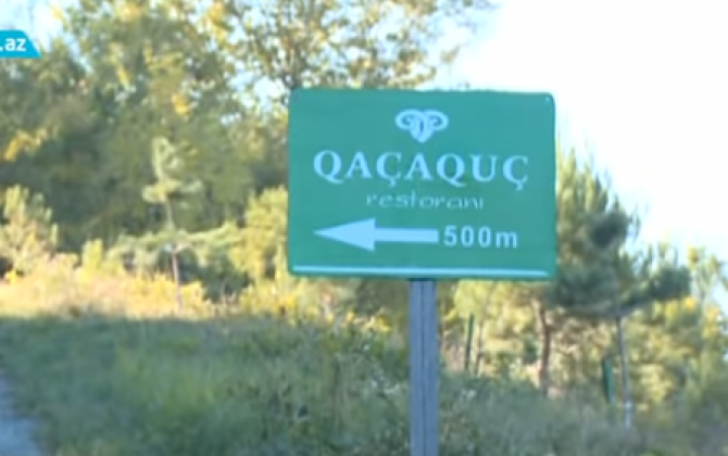 Qəribə kafe və restoran adları: "Qaça-quç" , "Yedin dur"... - Kim icazə verir?