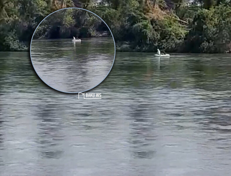 Azərbaycanda balıqlara elektrik cərəyanı verərək kütləvi məhv ediblər - ŞOK GÖRÜNTÜLƏR - VİDEO