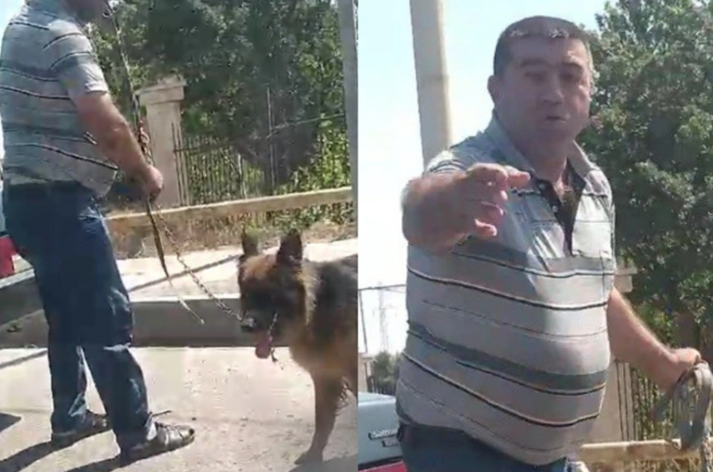 Mehdiabad-Pirşağı yolunda itə işgəncə verən şəxs cəzalandırılıb