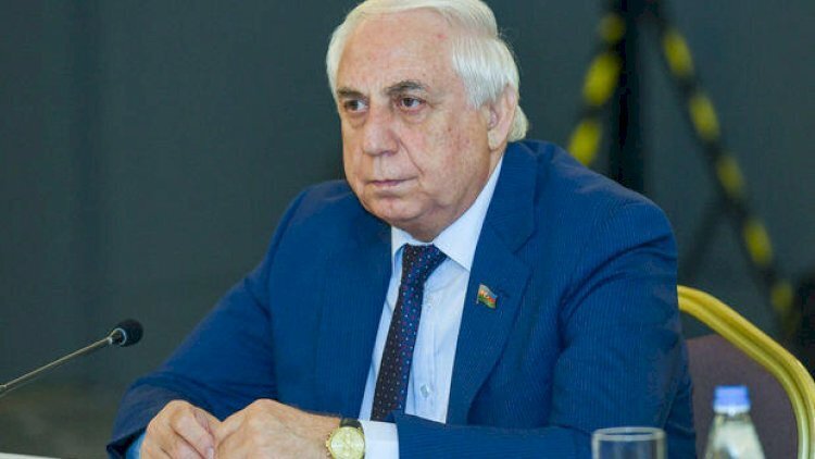 Hadı Rəcəblinin bacısı oğlu deputatlığa namizəd oldu