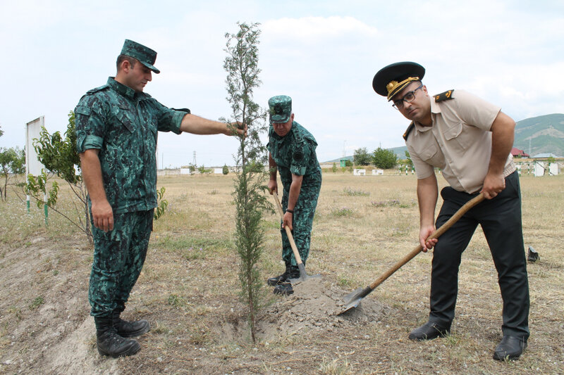 Hərbi Prokurorluq və Dövlət Sərhəd Xidməti Şəkidə birgə tədbir keçirib
