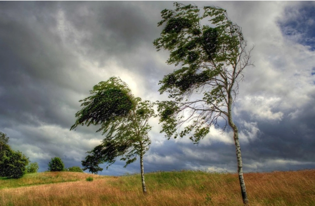 Hava ilə bağlı XƏBƏRDARLIQ EDİLDİ